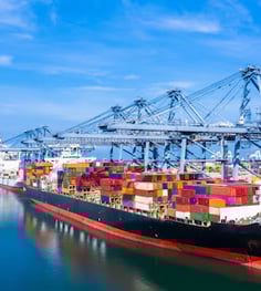 Talya Trade Consultant